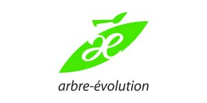 Arbre-évolution